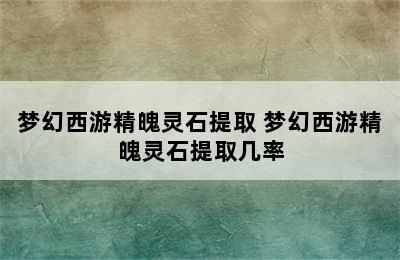 梦幻西游精魄灵石提取 梦幻西游精魄灵石提取几率